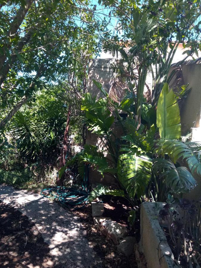 Arthouse Campos Mit Haus Galeria 110Qm Und Appartementhaus Mit Patio 30Qm Kültér fotó